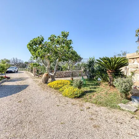 Il Gelso Appartement Corsano (Apulia)